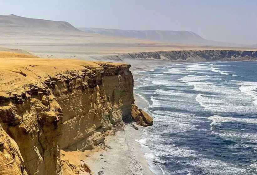 ペンション Aquamarine Paracas Beach Hostal