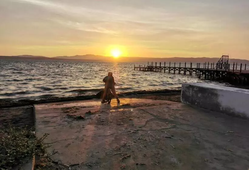 ペンション Aquamarine Paracas Beach Hostal