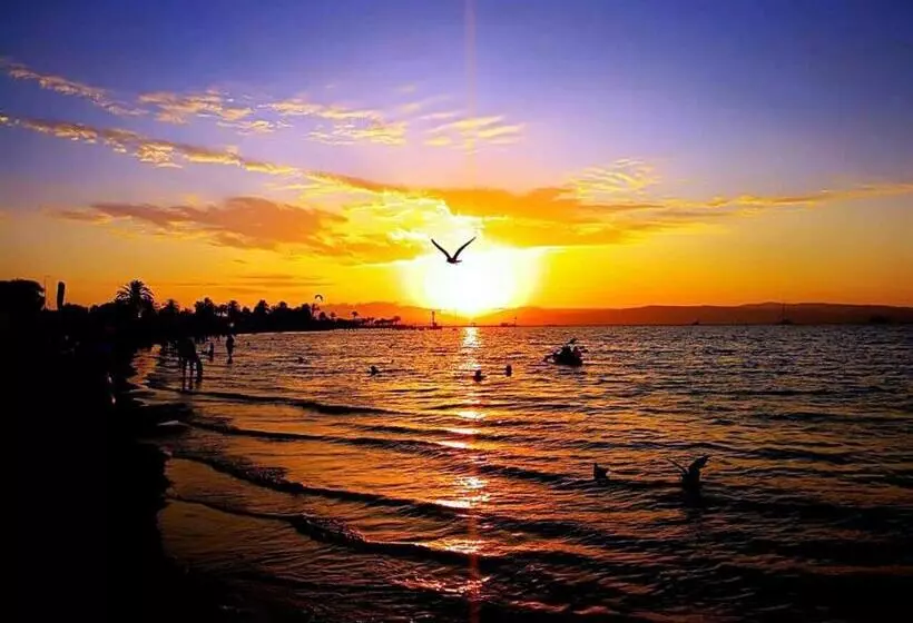 ペンション Aquamarine Paracas Beach Hostal