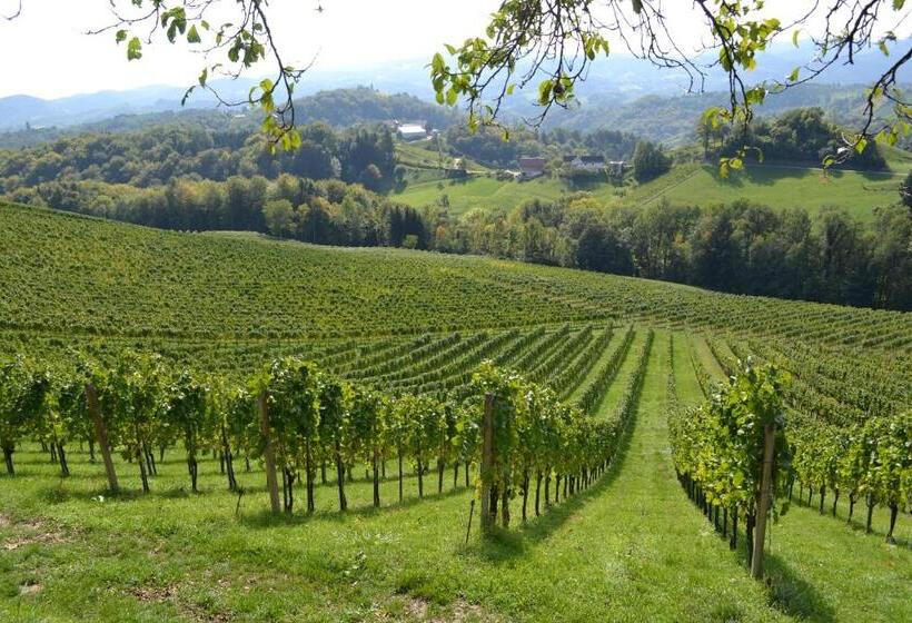 Bed and Breakfast Weingut Fellner