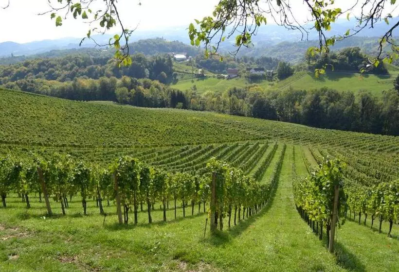 Bed and Breakfast Weingut Fellner