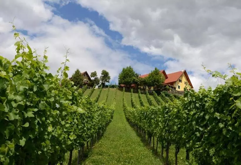 Bed and Breakfast Weingut Fellner