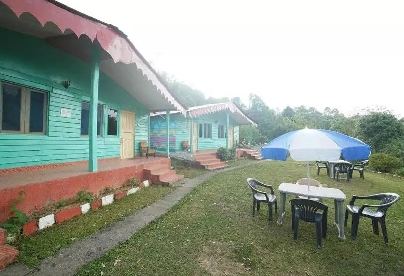 هتل Oyo 35758 My Nest Resort