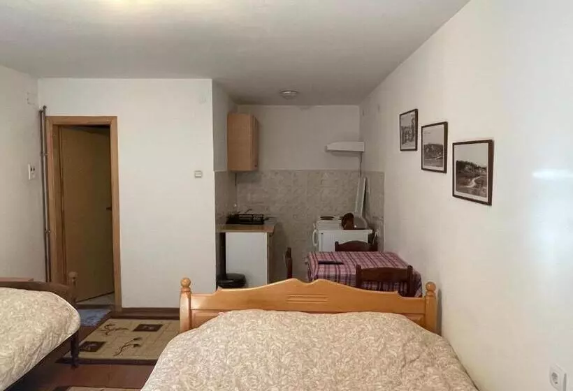 پانسیون Vila Savinka