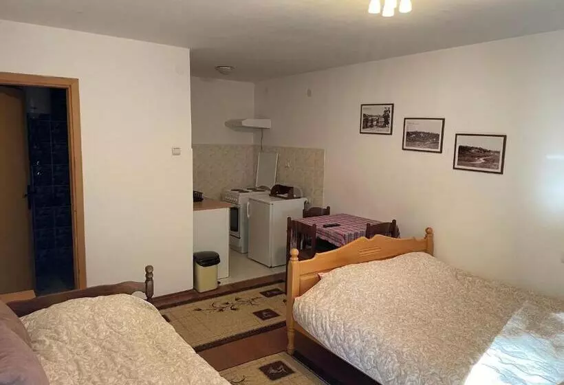 پانسیون Vila Savinka