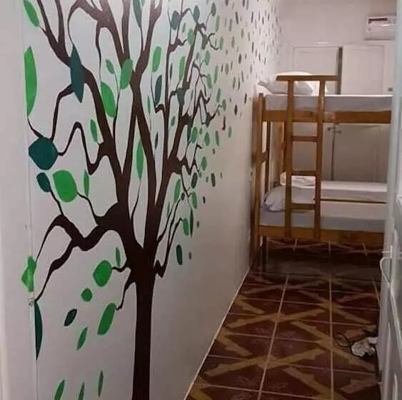 Pousada   Aqui Hostel