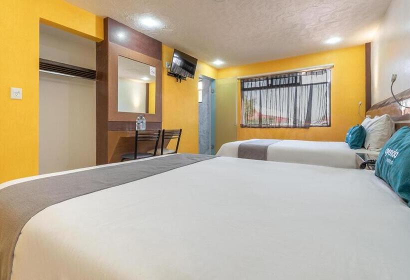 Отель Capital O Df Inn