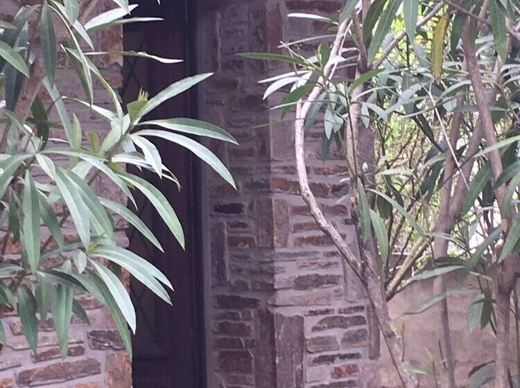 Nocleg ze śniadaniem Maison Mignardise  Cite