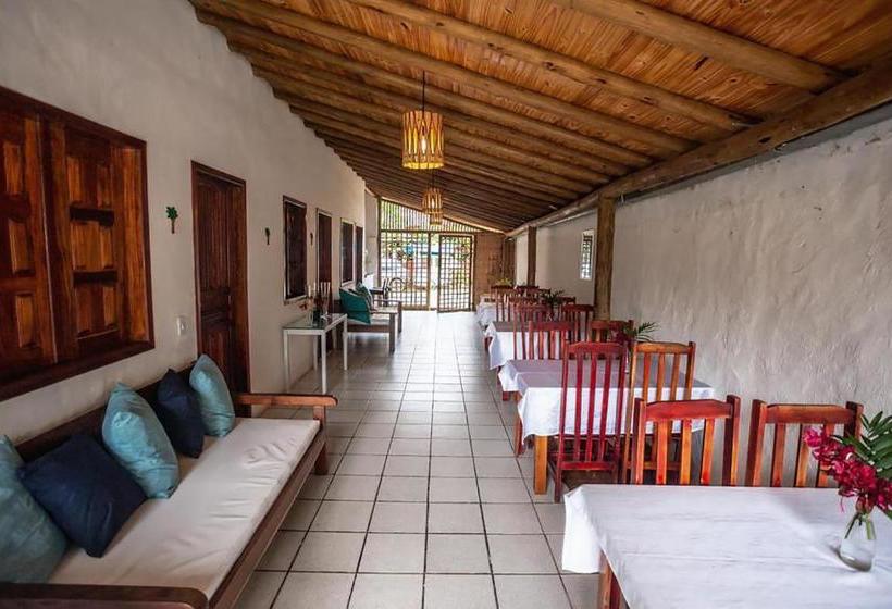 Пансион Pousada Castanheira Trancoso