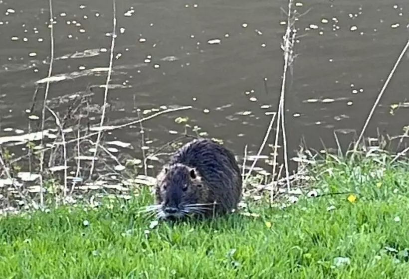 Hotelli Ferienpension Bei Stenze