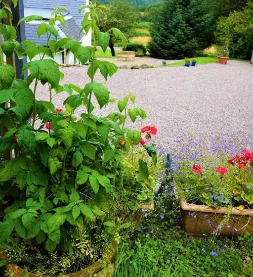 Lundie View B & B