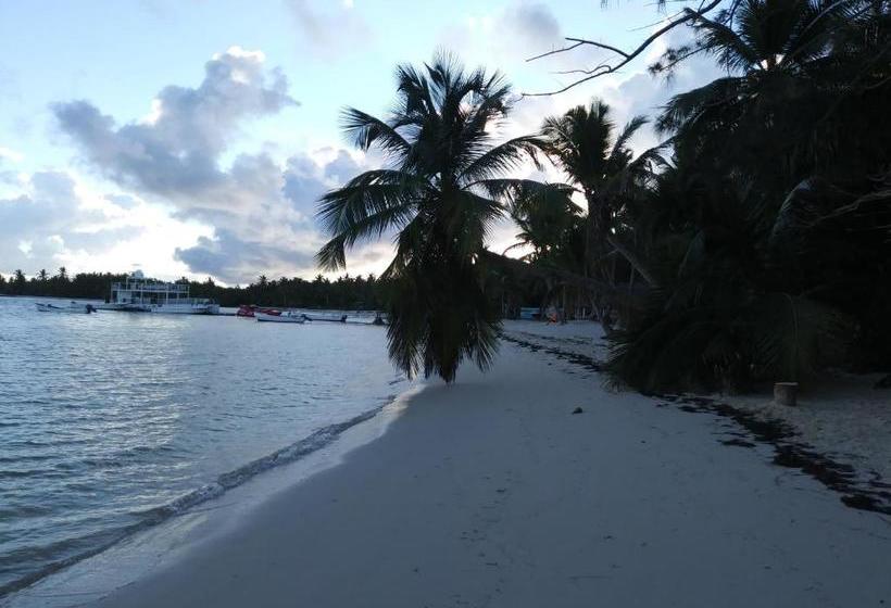 پانسیون Shared Shared Room