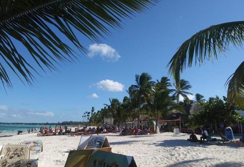 پانسیون Shared Shared Room