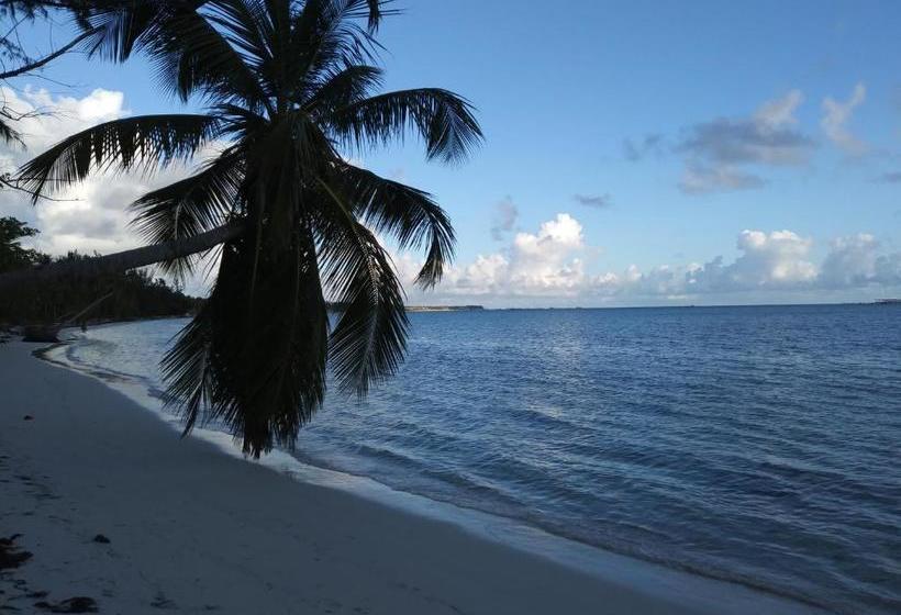 پانسیون Shared Shared Room