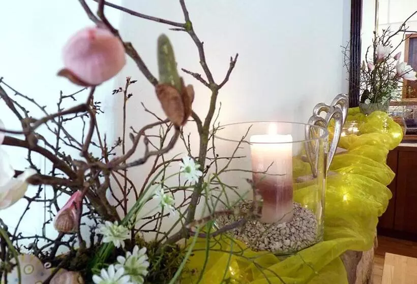 Aamiaismajoitus (B&B) Pension Bergterrasse