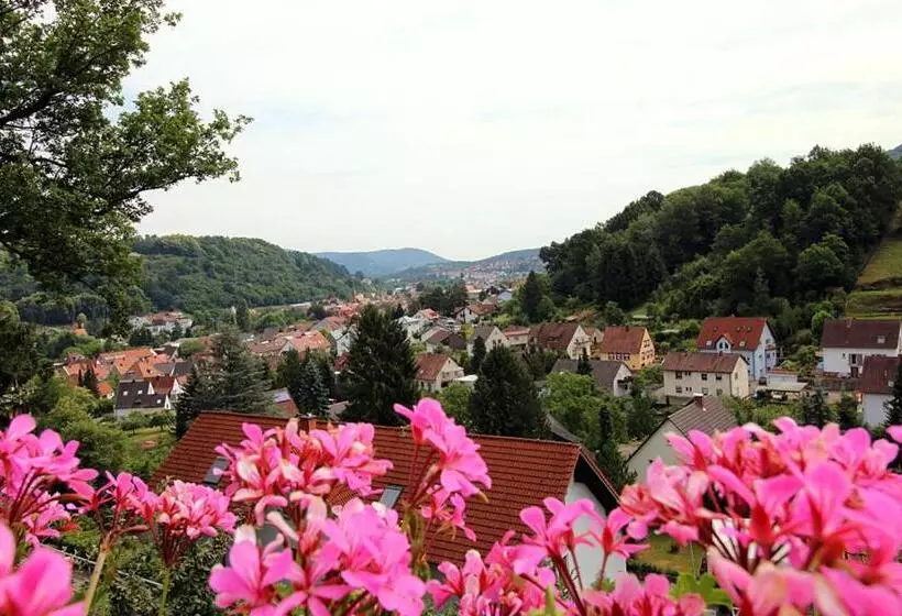 Aamiaismajoitus (B&B) Pension Bergterrasse