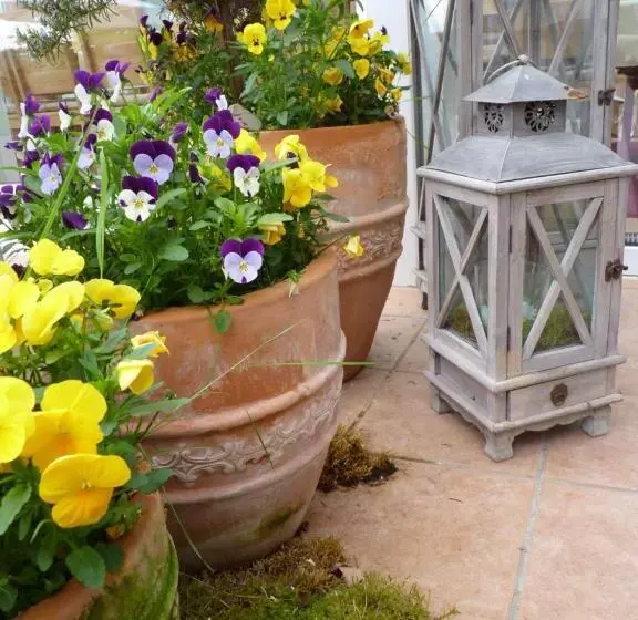 Aamiaismajoitus (B&B) Pension Bergterrasse