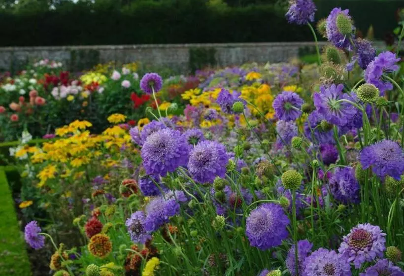 Hotelli House Arundel