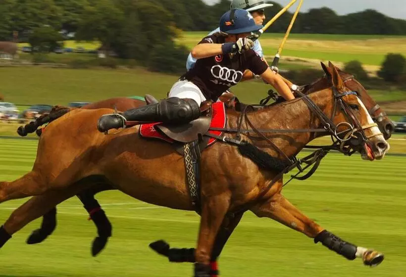 Hotelli House Arundel