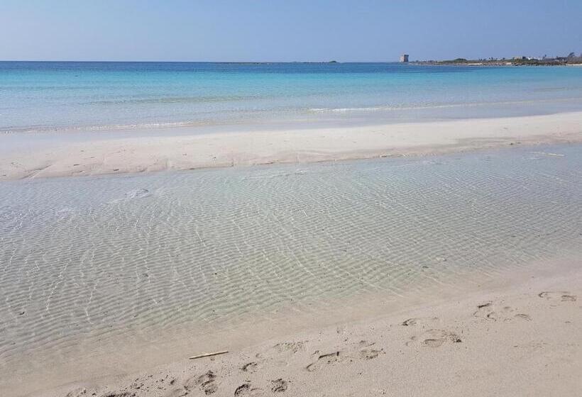 B&b Villa Brezza Marina