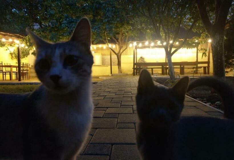 پانسیون Popock City Center