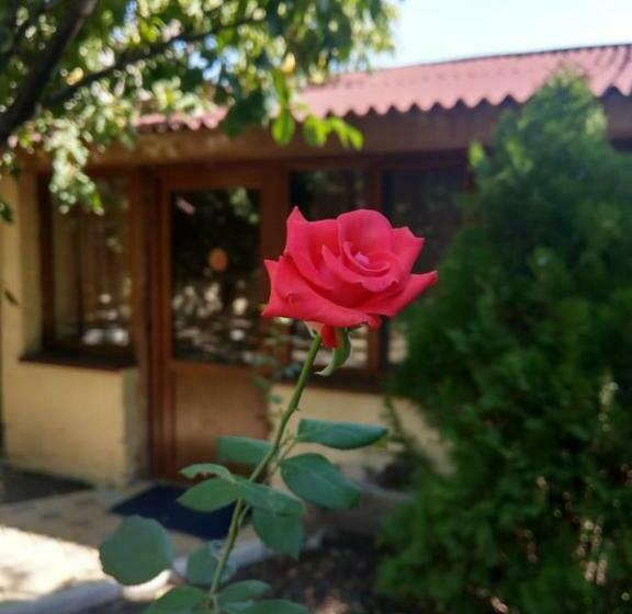 پانسیون Popock City Center