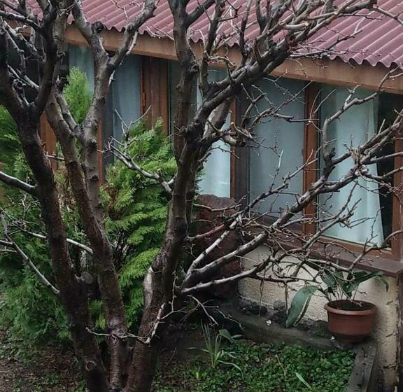 پانسیون Popock City Center