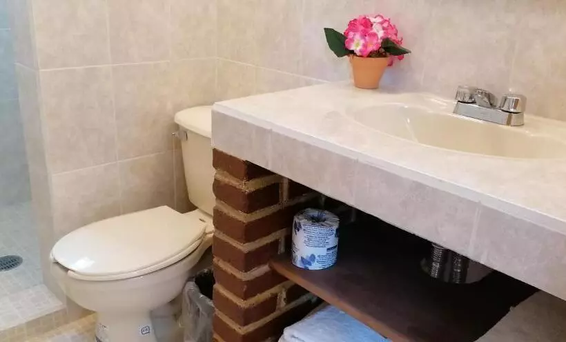 ホテル Casa Lupita