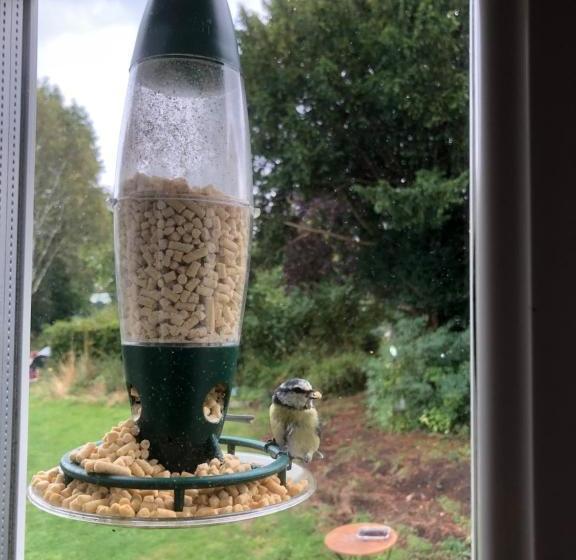 Forest View Bed And Breakfast