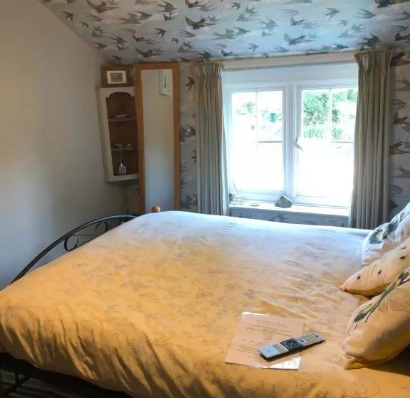 Forest View Bed And Breakfast