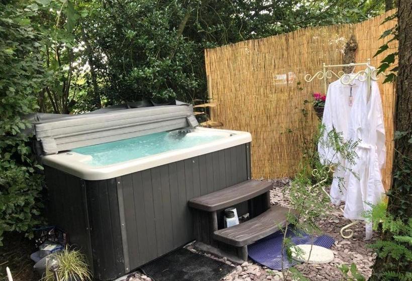 Forest View Bed And Breakfast