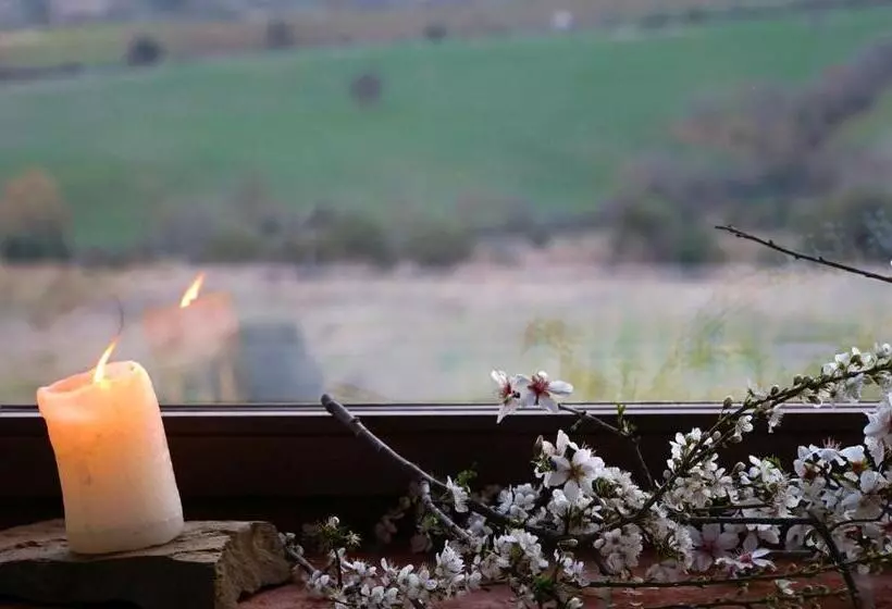 ホテル Marrucheti 82