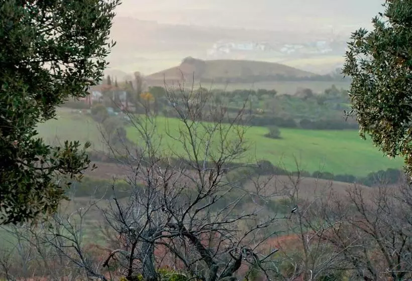 ホテル Marrucheti 82