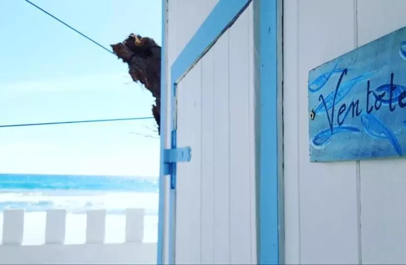 Bed and Breakfast Bungalow Minonthebeach