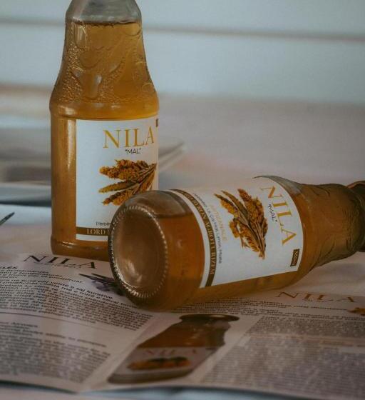 بنسيون Guesthouse Lord Byron