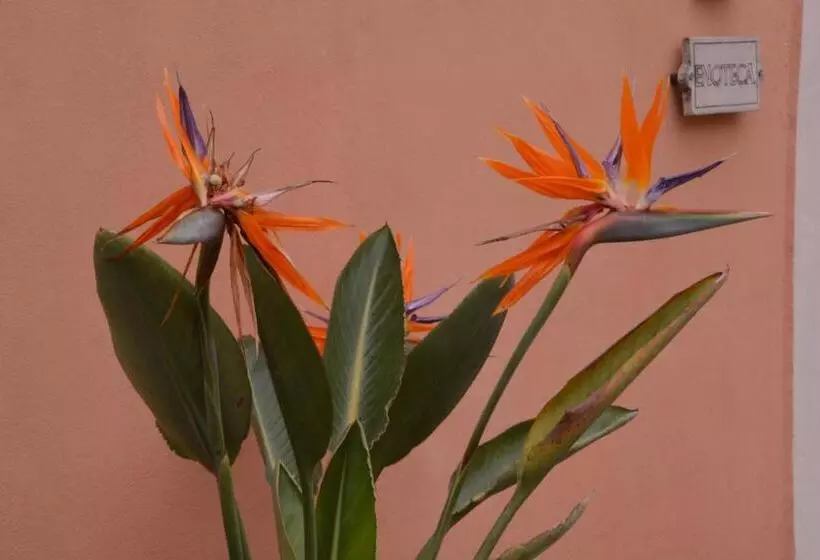 Casa Re   B&b E Vino A Montabone