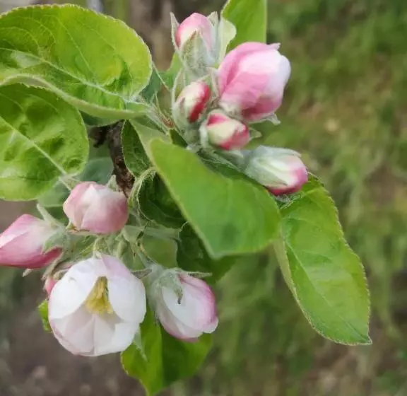 Casa Re   B&b E Vino A Montabone