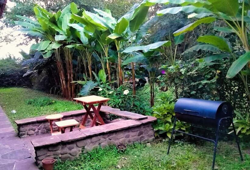 Terrazas Del Coya   Hostel