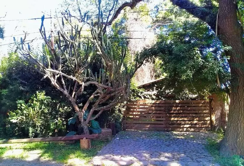 Terrazas Del Coya   Hostel
