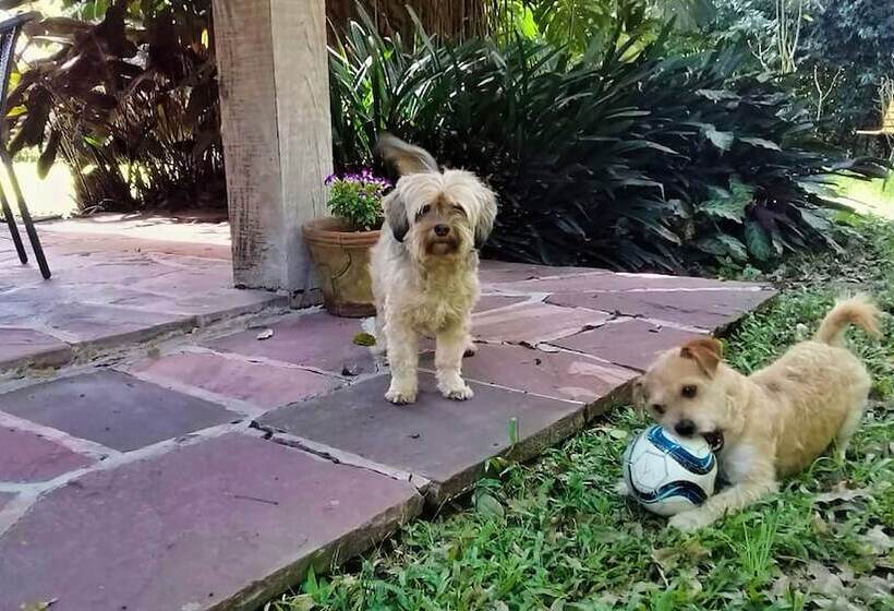 Terrazas Del Coya   Hostel