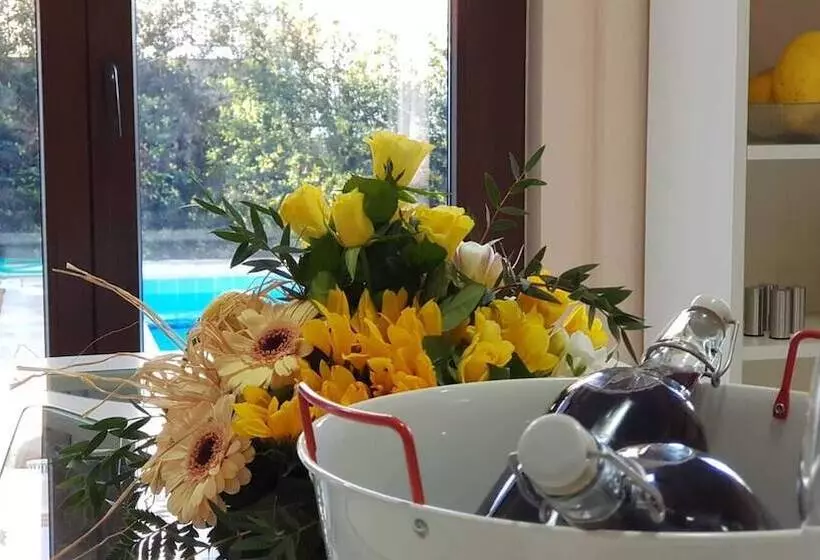 تختخواب و صبحانه L'aurora