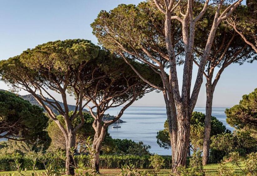 هتل Lily Of The Valley