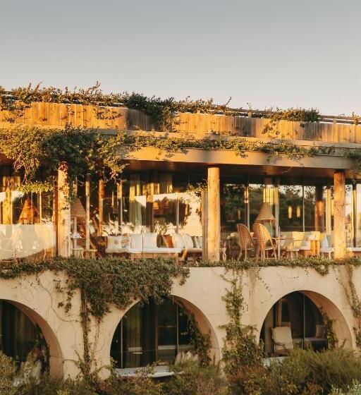 هتل Lily Of The Valley