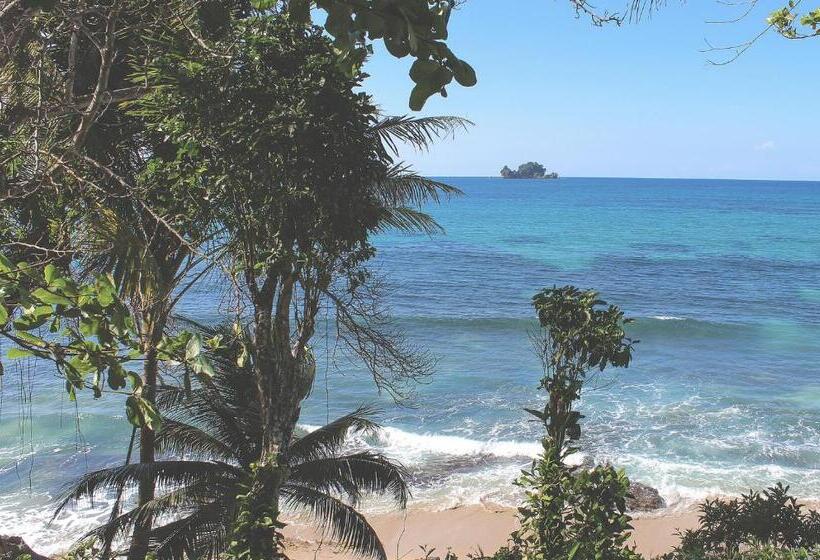 هتل Bird Island Bungalows