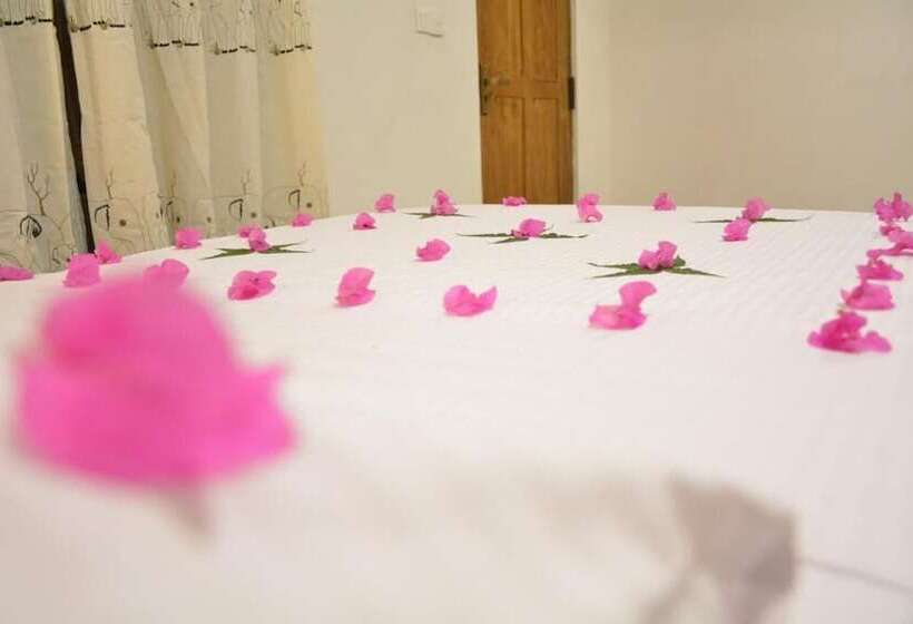 Hotel Jaye Eco Lodge