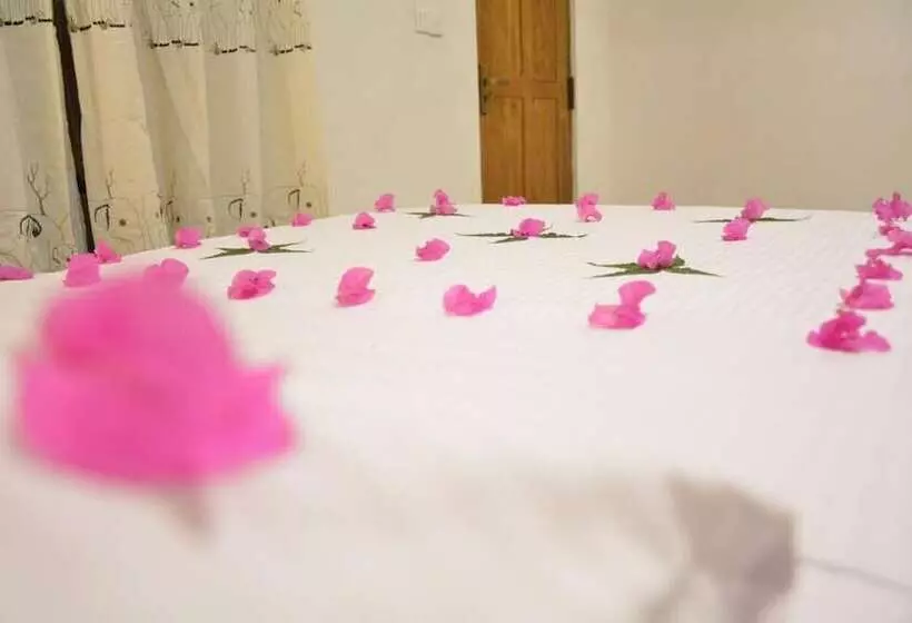 Hotelli Jaye Eco Lodge