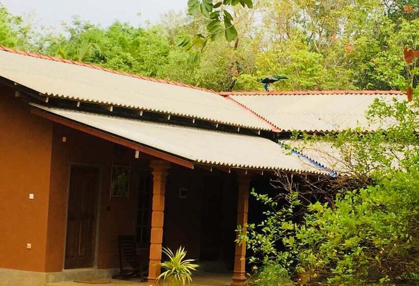 Hotel Jaye Eco Lodge