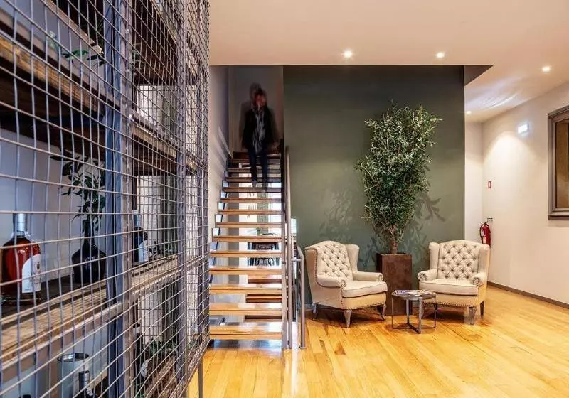 Olive Nature – Tourism Apartments