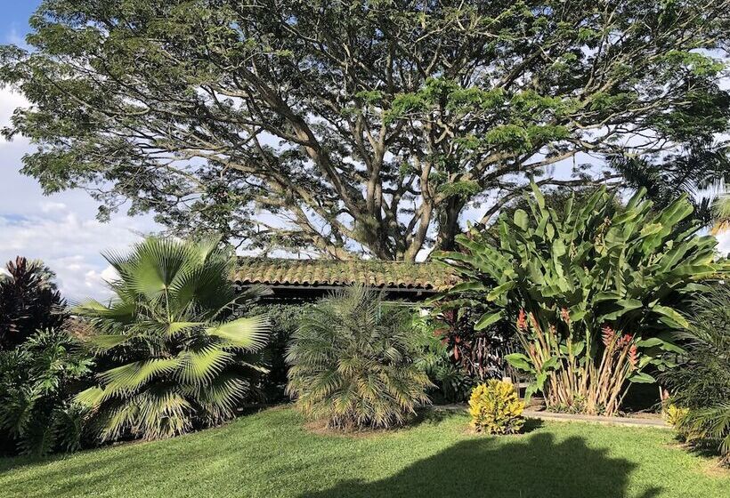 Finca Hotel Brasilia