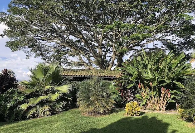 Finca Hotel Brasilia